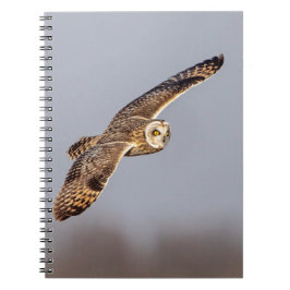 Cuaderno Lechuza de corta duración en las praderas de Shawa