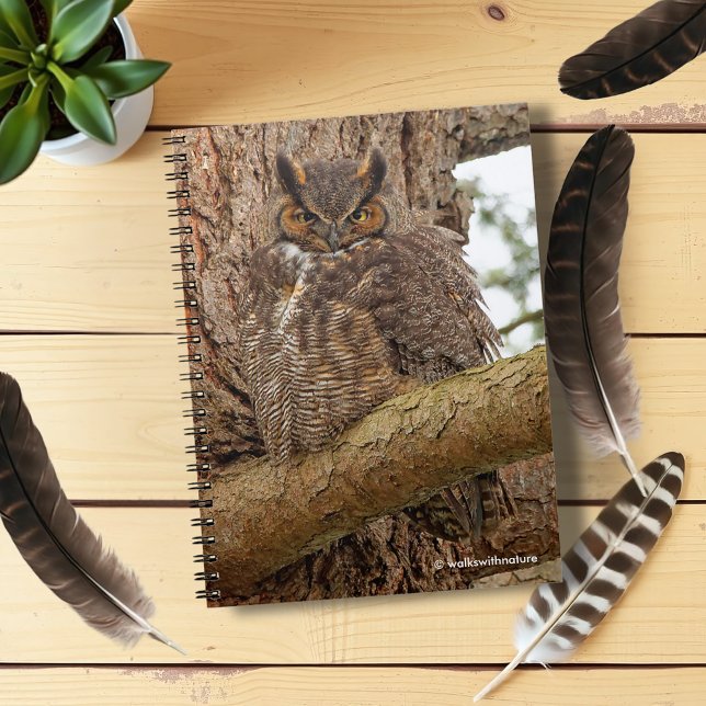 Cuaderno Lechuza de Cuerno en el río Douglas (Great Horned Owl in a Douglas Fir Journal Cover Photo)