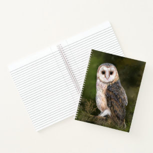 Cuaderno Lechuza de grano occidental - Arte de pintura de a