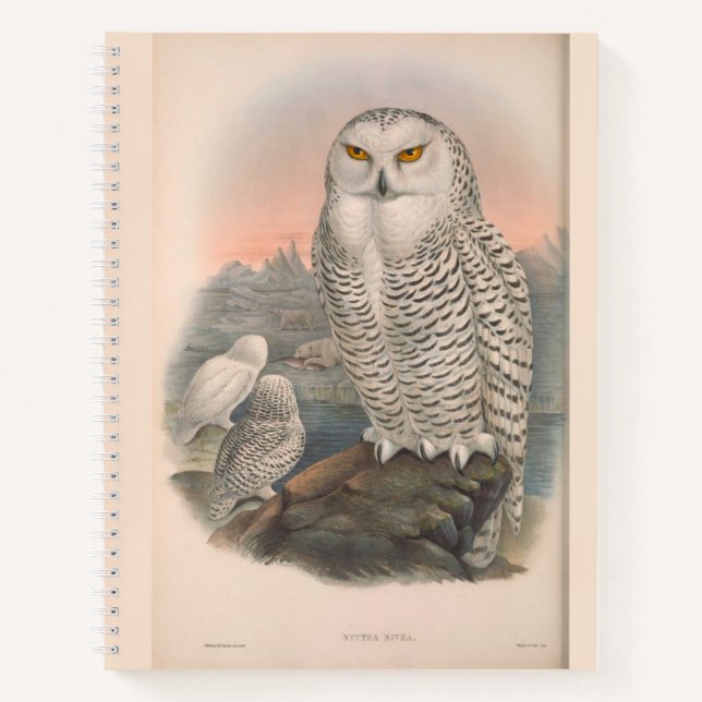Cuaderno Lechuza de nieve y Falcon Hardcover Spiral Sketchb (Anverso)