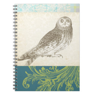 Cuaderno Lechuza gris en el fondo del patrón