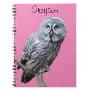 Cuaderno Lechuza gris grande