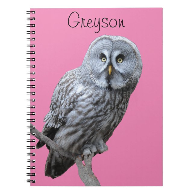 Cuaderno Lechuza gris grande (Frente)