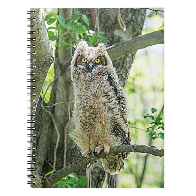 Cuaderno Lechuza Horneada (Frente)