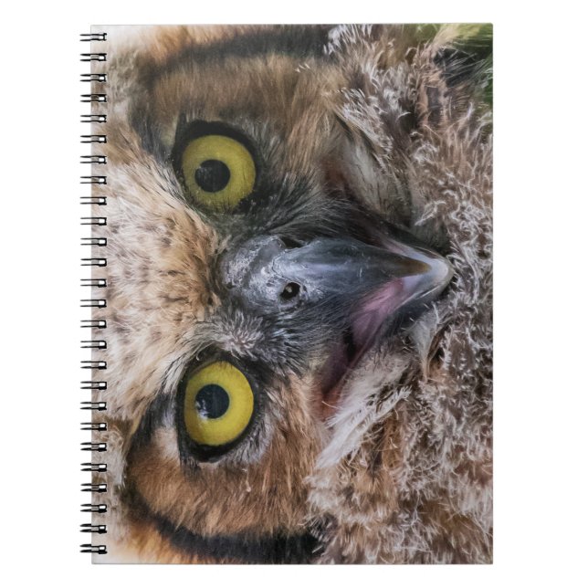 Cuaderno Lechuza Horneada (Frente)