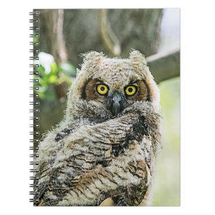 Cuaderno Lechuza Horneada