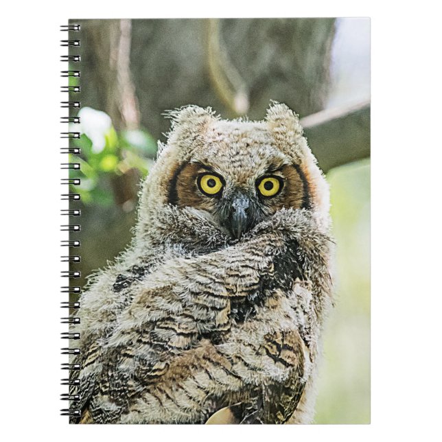 Cuaderno Lechuza Horneada (Frente)