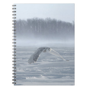 Cuaderno Lechuza Nevada Volando En Invierno