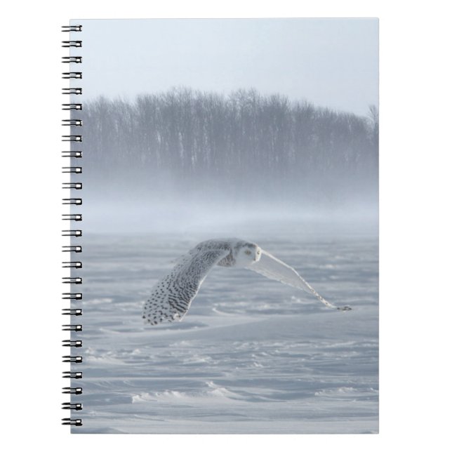 Cuaderno Lechuza Nevada Volando En Invierno (Frente)