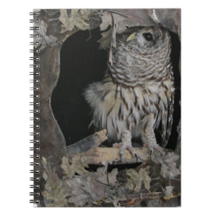 Cuaderno Lechuza roja - ¡Te estoy mirando!