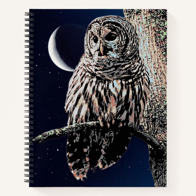 Cuaderno Lechuza y luna creciente en cielo estrellado (Anverso)