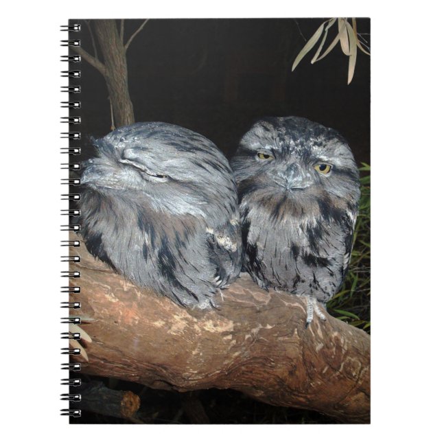 Cuaderno Lechuzas de sudoroso boca, (Frente)