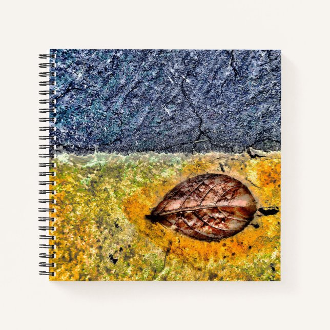 Cuaderno Leer este bloc de notas de hojas (Anverso)