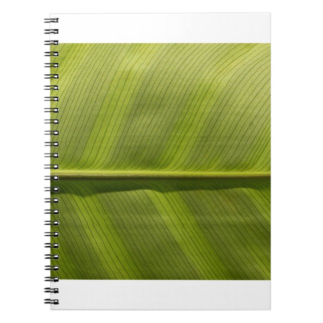 Cuaderno leerlo (Frente)