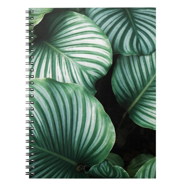 Cuaderno leerme solo (Frente)