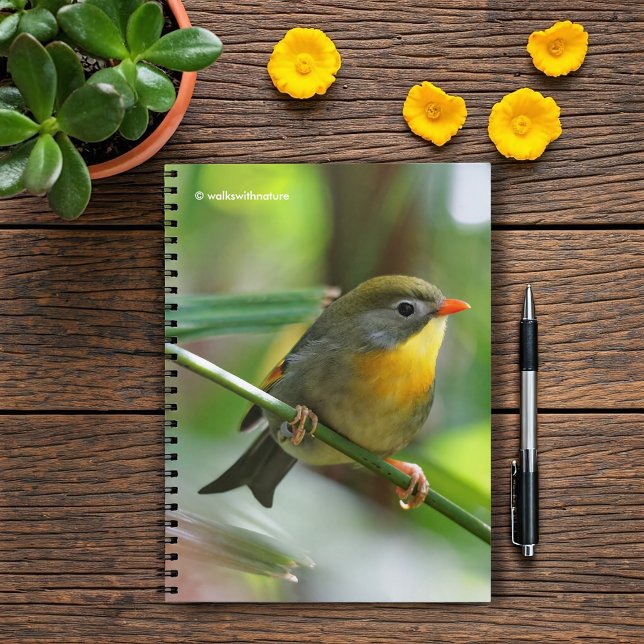 Cuaderno Leiothrix colorida / Pekin Robin Songbird (Colorful Leiothrix Pekin Robin on the Branch Journal Cover Photo)
