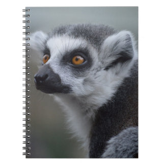 Cuaderno Lemur