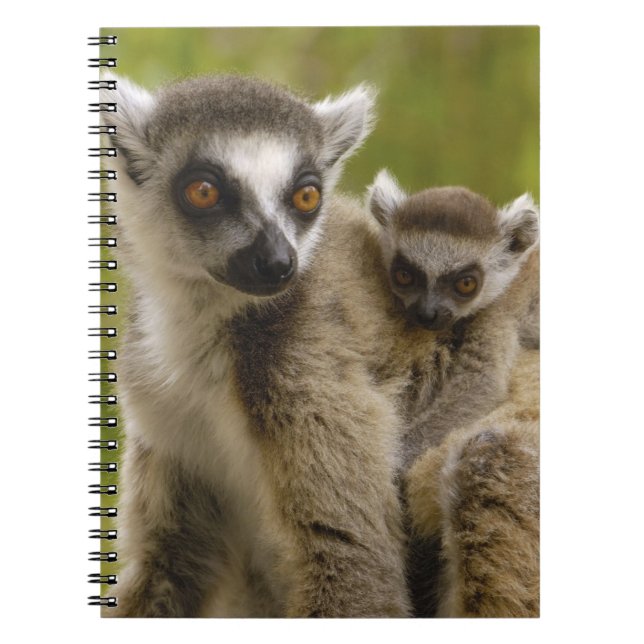 Cuaderno Lémures de cola anillada (Lemur catta) Madre e hij (Frente)