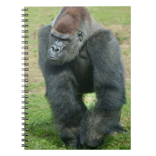 Cuaderno Lenguaje de fuerza del gorila (Frente)