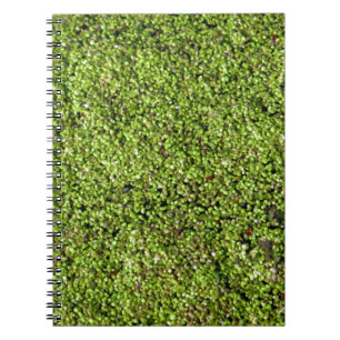 Cuaderno lente de agua de pato de la planta acuática