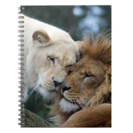 Cuaderno León