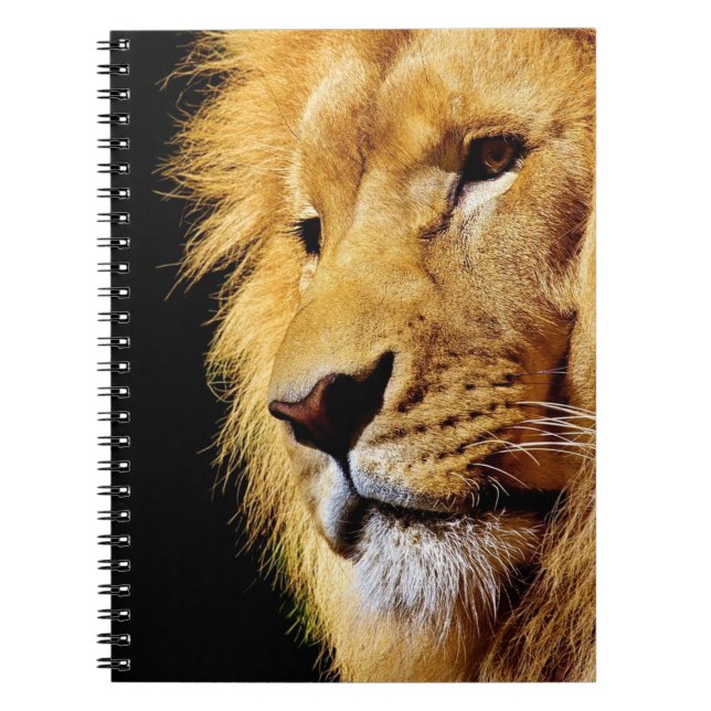 Cuaderno León (Frente)