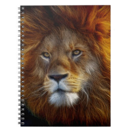 Cuaderno León