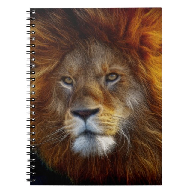 Cuaderno León (Frente)
