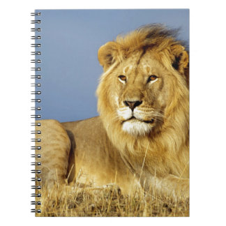 Cuaderno León