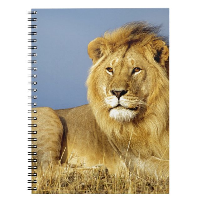 Cuaderno León (Frente)