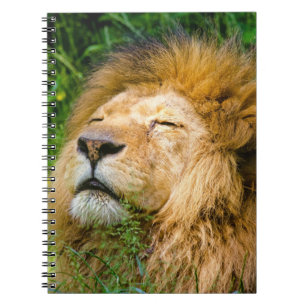 Cuaderno León