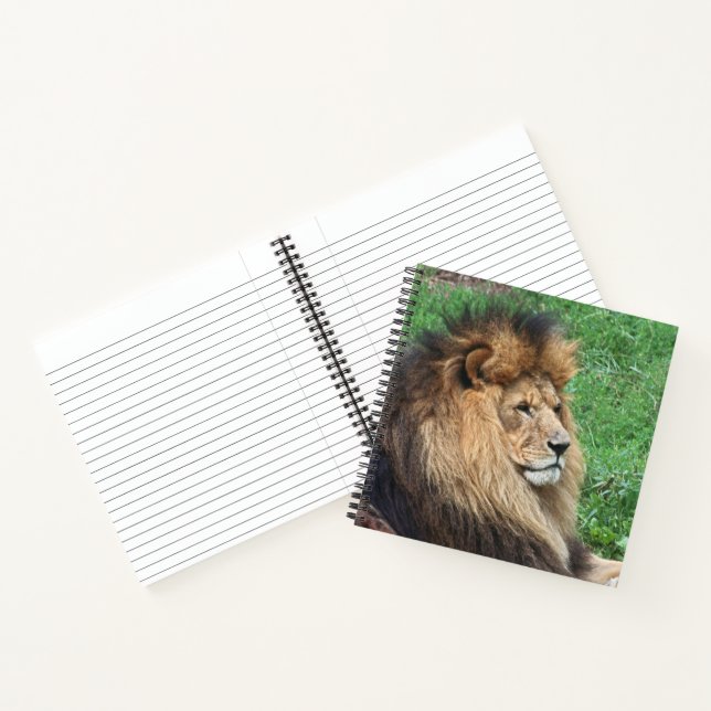 Cuaderno León 001 (Interior)