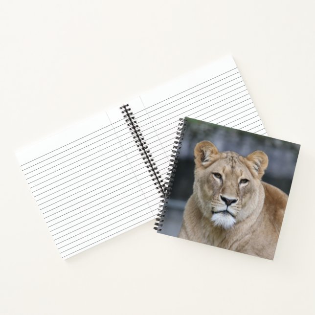 Cuaderno León 004 (Interior)