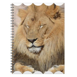 Cuaderno León adorable