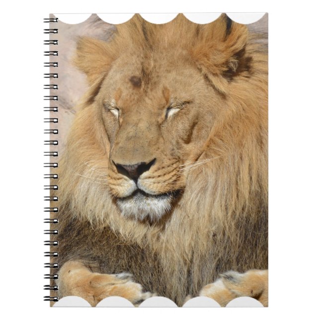 Cuaderno León adorable (Frente)