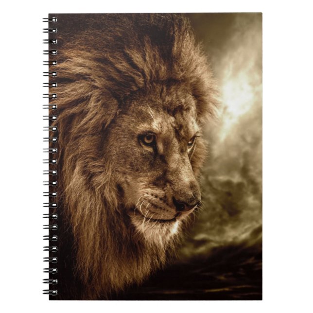 Cuaderno León contra el cielo tempestuoso (Frente)