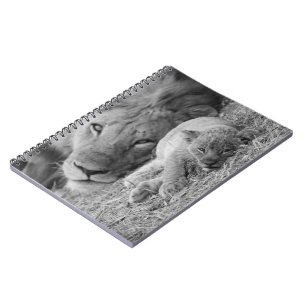 Cuaderno León Cub lindo que descansa con el padre