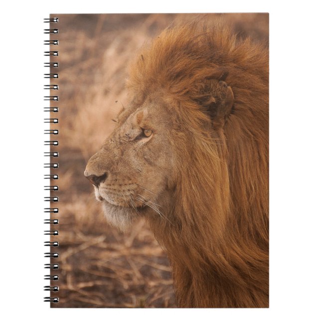 CUADERNO LEÓN DE LARGO MANDO (Frente)