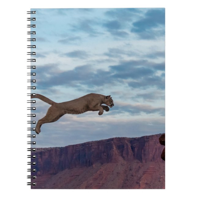 Cuaderno León de montaña Salto de salto matutino, león, ani (Frente)