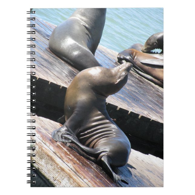 Cuaderno León del Mar de Baskán (Frente)