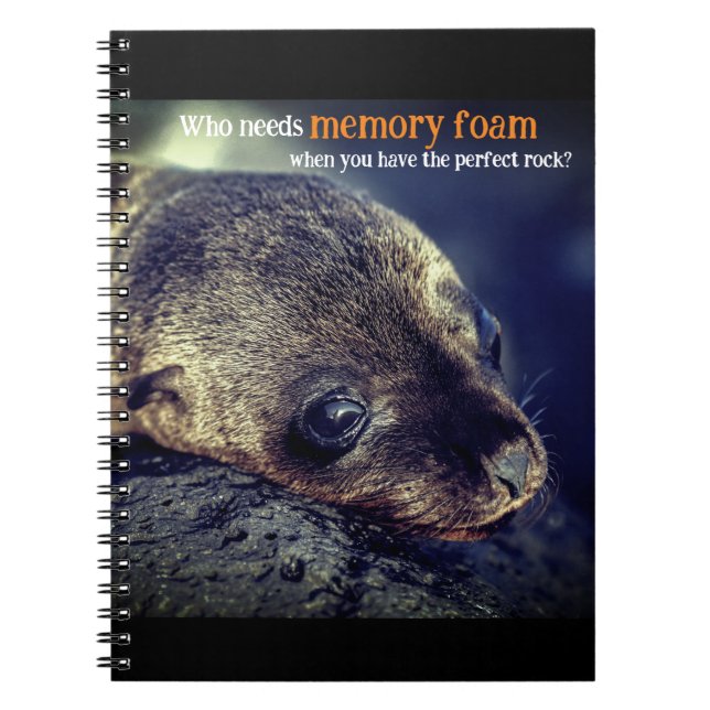 Cuaderno León del mar del Bebé (Frente)