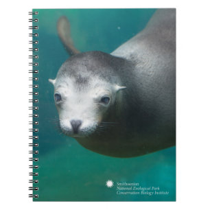 Cuaderno León marino de Smithsonian el