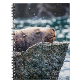 Cuaderno León Marítimo En La Bahía De Resurrección, Alaska