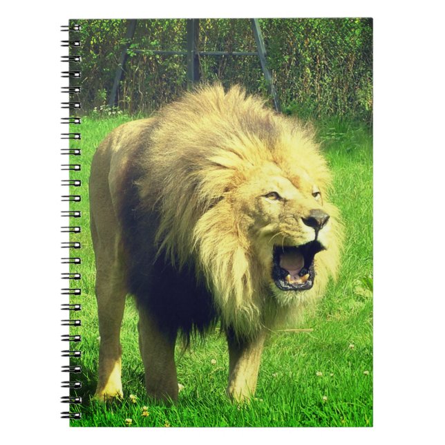 Cuaderno León masculino (Frente)