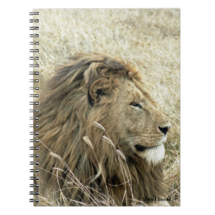Cuaderno León masculino