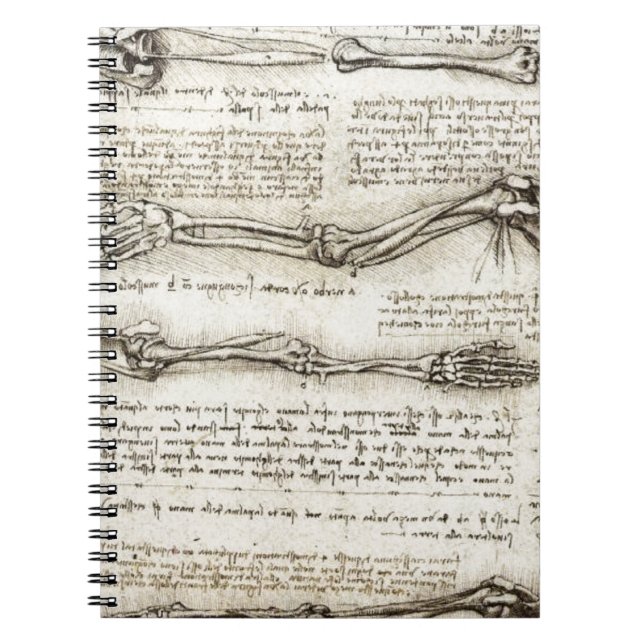 Cuaderno Leonardo da Vinci - estudios de las ilustraciones (Frente)
