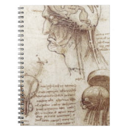 Cuaderno Leonardo da Vinci - fisiología del cerebro