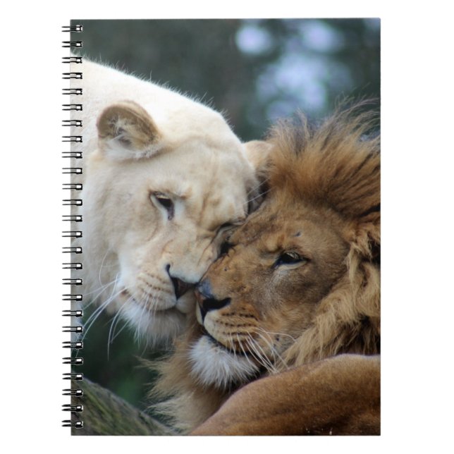 Cuaderno Leones (Frente)