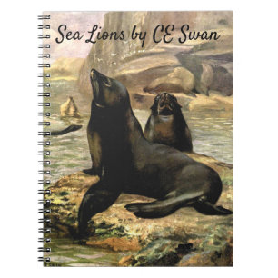 Cuaderno Leones marinos de California por CE Swan, Animales
