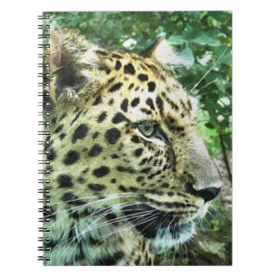 CUADERNO LEOPARD